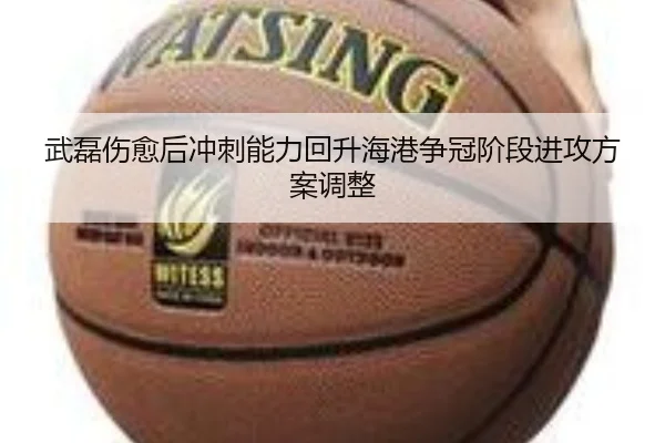 武磊伤愈后冲刺能力回升海港争冠阶段进攻方案调整 - LEWANSPORTS